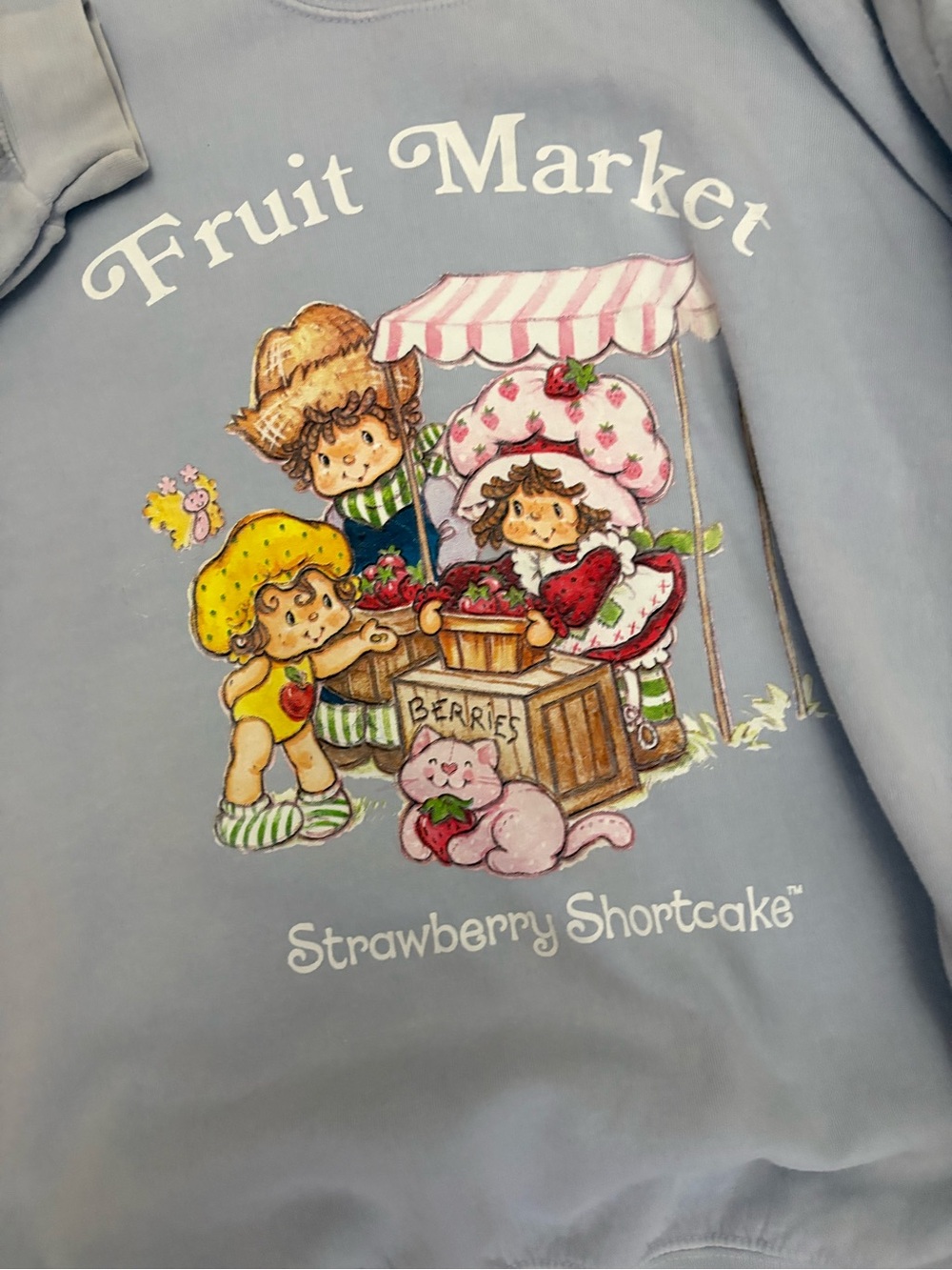PacSun Light Blue Strawberry Shortcake Fruit Market Graphic Sweatshirt